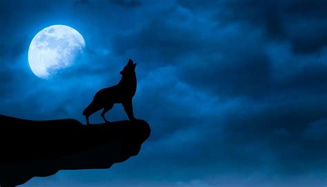 Download Wolf, Wolves, Moonlight. Royalty-Free Stock Illustration Image - Pixabay