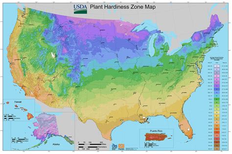 File:2012 USDA Plant Hardiness Zone Map (USA).jpg - Wikimedia Commons
