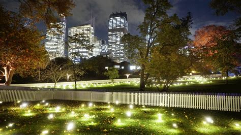 Firefly Field Light installation for Vivid Sydney | Light installation, Led garden lights ...