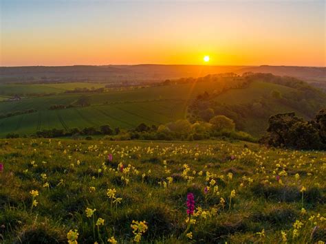 South Downs National Park to ‘renature’ area six times the size of Westminster | Shropshire Star