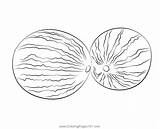 Two Watermelons Coloring Page For Kids  Free Watermelon Printable sketch template
