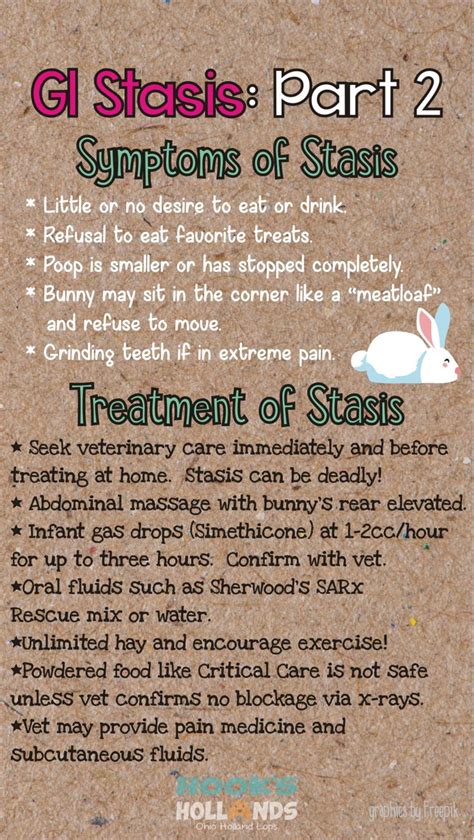 Rabbit Gastrointestinal (GI) Stasis information, part 2. From Hook's Hollands - Ohio Holland ...