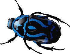 Beetle Stink Bug - Free vector graphic on Pixabay