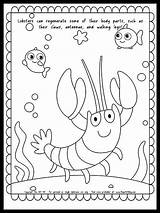 Cute Lobster Coloring Page With Fun Fact About Regenerating  FREE sketch template