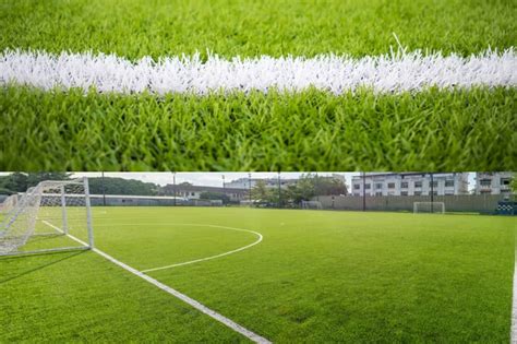 Artificial Grass VS Turf: What Are The Differences?