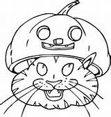 Coloriage  Spat le Chat Et Une Citrouille DHalloween Coloriages à sketch template