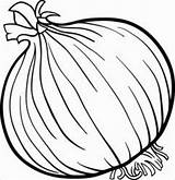Onions Coloring Pages  ColoringBay sketch template