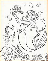 Seaweed Coloring Pages At GetDrawings  Free Download sketch template