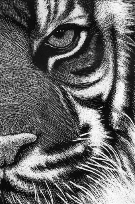 Pin by Nelleke on Lord's Creations | Scratchboard art, Scratch art, Scratchboard