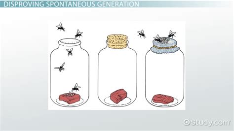 Spontaneous generation is the mistaken idea that | Study.com