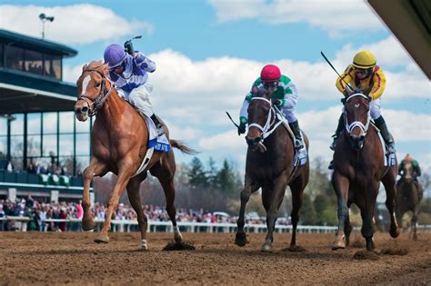 Keeneland Fall Meet | Keeneland, Horses, Racing