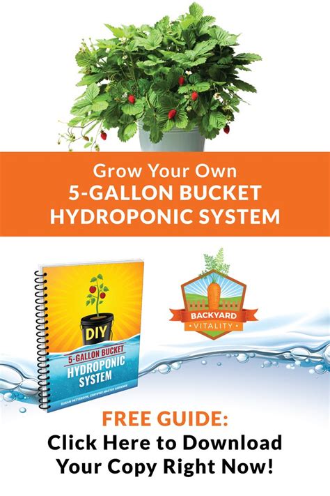 5-Gallon Bucket Hydroponic System (Free Guide) in 2021 | Hydroponics ...