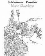 Yucca Plant Coloring Page Pages sketch template