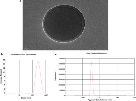 Characterization of the PLGA nanoparticle. a Micrograph of PLGA ...