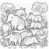 Aardvark Coloring Pages 6  Gem sketch template