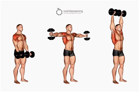 Medial Deltoid Exercises