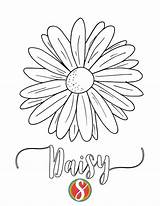 Free Daisy Coloring Pages — Stevie Doodles sketch template