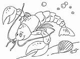 Lobster Coloring Pages sketch template