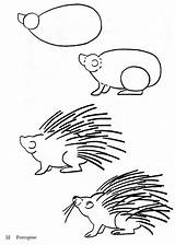 Porcupine Coloring Pages For Kids sketch template