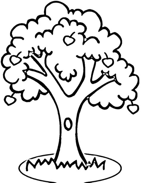 Tree Outline - ClipArt Best