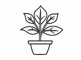 Fun Plant Coloring Activity  Page sketch template