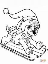 Zuma On Sled coloring page  Free Printable Coloring Pages sketch template