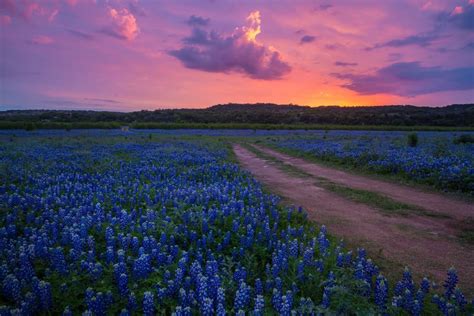 Top 20 Most Beautiful Places to Visit in Texas – Global Grasshopper ...