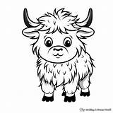 Yak Coloring Pages  Free & Printable sketch template