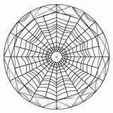 Spider web coloring Pages – Coloring Corner sketch template