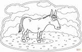 Dibujo De Burro Para Colorear  Dibujos Imprimir Gratis sketch template