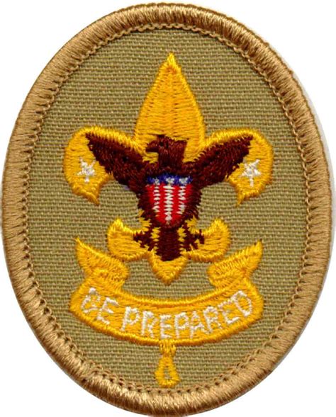 First Class | Boy scout badges, Scout badges, Boy scouts