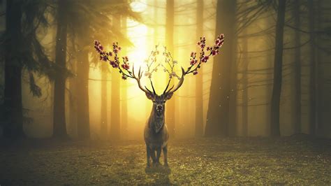 Deer, Digital Art, 4K, HD Wallpaper | Rare Gallery