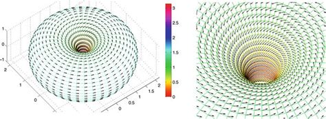 Configuration of the scalar field α and of the vector field n of a... | Download Scientific Diagram