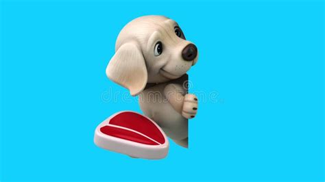 3D Cartoon Labrador Retriever (with Alpha Channel Included Stock Footage - Video of canine ...