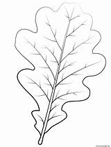 English Oak Leaf Coloring page Printable sketch template