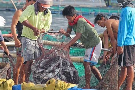 Fisherfolk seek guidelines on quarantine | Philstar.com