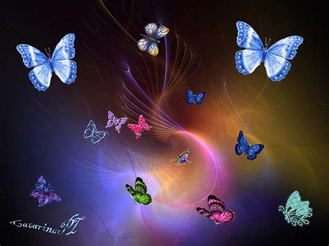 🔥 [49+] Free Butterfly Wallpapers Animated | WallpaperSafari