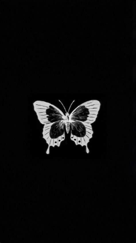 Aesthetic Wallpapers Butterfly Black And White