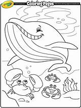 Whale Coloring Page sketch template