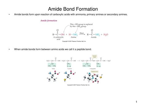 PPT - Amide Bond Formation PowerPoint Presentation, free download - ID:608638