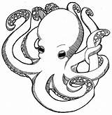 Octopus Coloring Page Printable sketch template