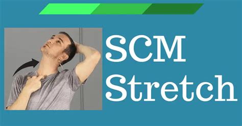 Easy Sternocleidomastoid Stretch (SCM) - Posture Correction Must-Do