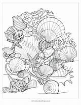 Coloring Pages Sea Shells At GetDrawings  Free Download sketch template