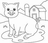 Pig Coloring Page sketch template