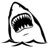 Shark Vector Illustration stock vector. Image of marine - 47882974