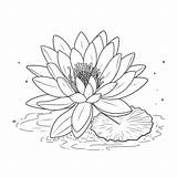 Water Lily Coloring Page SIGNLEADER sketch template