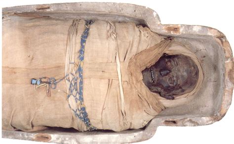 How Tall Were The Egyptian Mummies - vrogue.co