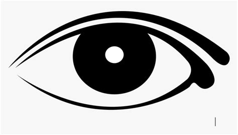 Eyeball Png Free - Human Eyes Clipart Black And White, Transparent Png , Transparent Png Image ...