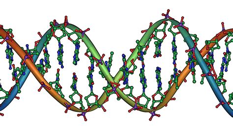 New policy resolution on consumer concerns about new genetic engineering techniques