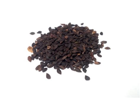 Tree seed - Black spruce – TreeSeeds.ca